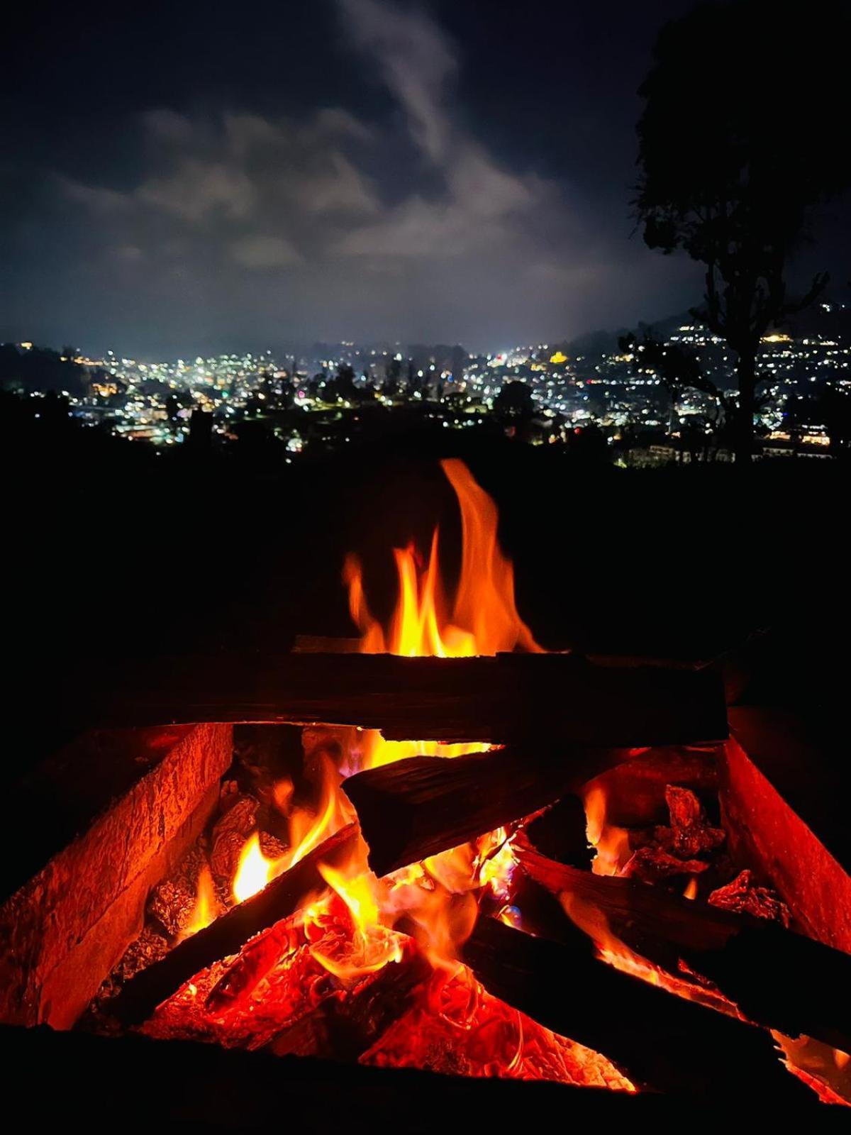 Phoenix View * Ooty